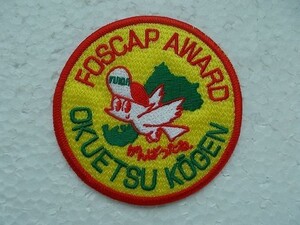 90s 奥越高原 FOSCAP AWARD OKUETSU KOGEN ボーイスカウト刺繍ワッペン/福井アップリケ ジャンボリー鳥カブスカウト バッジ日本連盟 v79