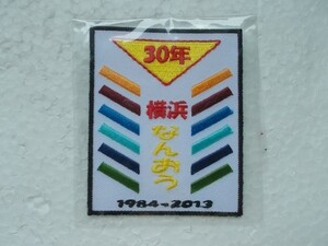 2013年 ボーイスカウト横浜 なんおう 横浜南央 30周年 神奈川連盟ワッペン/カブスカウト バッジ パッチ v82