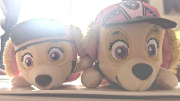 パウパトロール スカイ ぬいぐるみ 2点セット