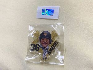 Редкий новый неоткрытый гигант yomiuri Giants Giant 2019 Dome Summer Vacation Limited Gacha Acril Badge, похожий на Shingo Ishikawa (пятница)