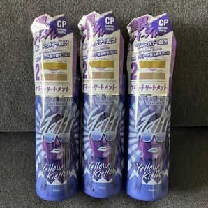 ガッチ ホーユー クールパープル 銀パープルトリートメント 3本セット