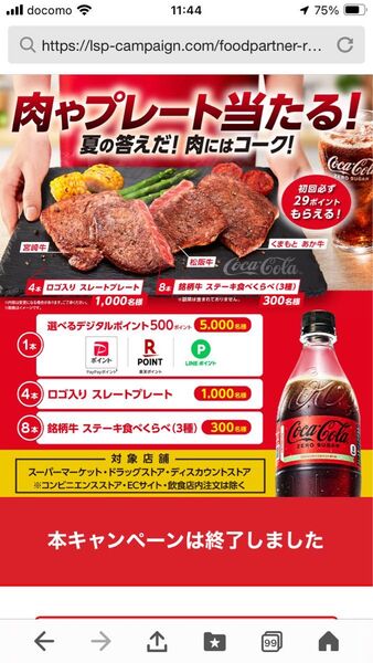送料込♪非売品!コカコーラ キャンペーン当選品 ロゴ入りストレートプレート♪