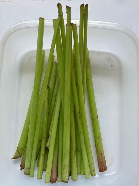 無農薬 山吹(約100g) 絹さや(300g)