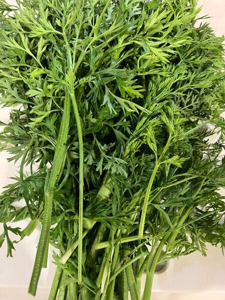 無農薬人参の葉(約300g)