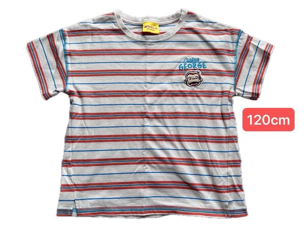 Tシャツ ボーダー おさるのジョージ 120cm