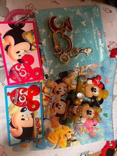 【6個セット】TDR 30周年記念グッズ キーホルダー ピンバッジ 巾着等