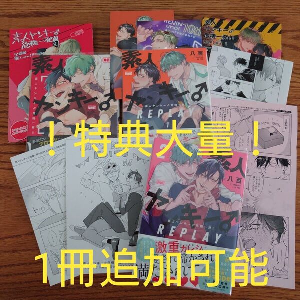 2店舗+α特典付!!完結3冊☆素人ヤンキー♂危機一発!!/REPLAY 1-2/八百/BL 漫画/アニメイト/とらのあな/全サ☆