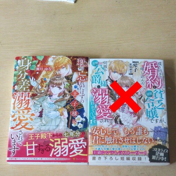 私を忘れたはずの王子様に身分差溺愛されています (Noche BOOKS) 瀬月ゆな/〔著〕