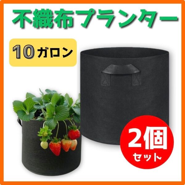 不織布プランター 10ガロン 2個 ブラック 植木鉢カバー 家庭菜園 ポット