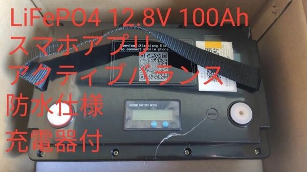 SJY LiFePO4バッテリー 12V 100Ah 充電器付