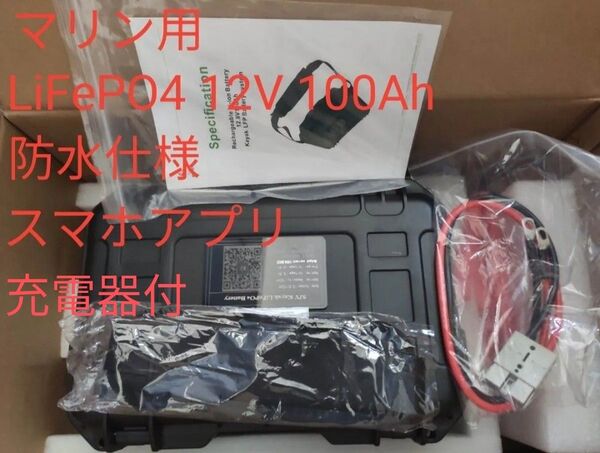 SJY LiFePO4バッテリー 12V 100Ah 充電器付