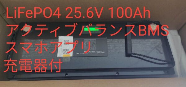 SJY LiFePO4バッテリー 24V 100Ah 充電器付