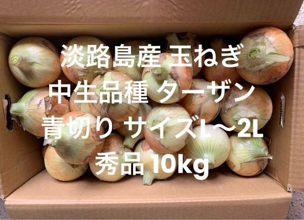 淡路島産 青切り 玉ねぎ 中生品種 ターザン L~2L 秀品 10kg