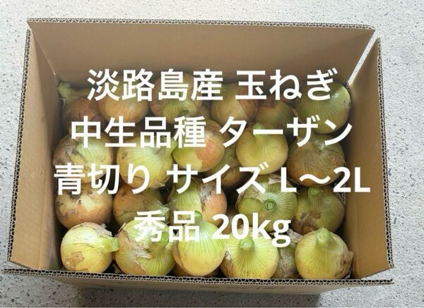 淡路島産 青切り 玉ねぎ 中生品種 ターザン L~2L 秀品 20kg