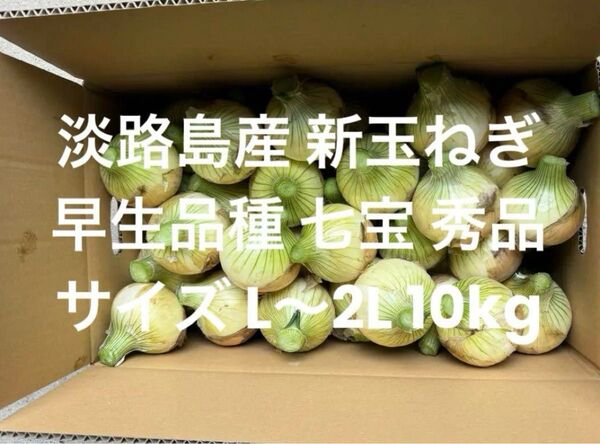 淡路島産 新玉ねぎ L~2L 秀品 10kg 早生品種 七宝