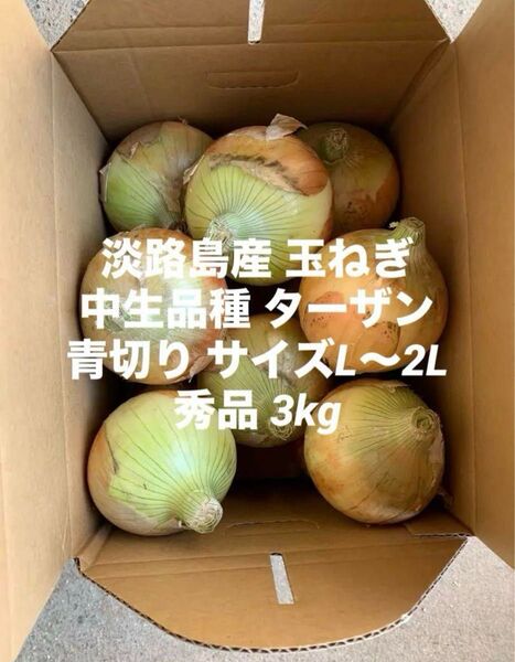 淡路島産 青切り 玉ねぎ 中生品種 ターザン L~2L 秀品 3kg