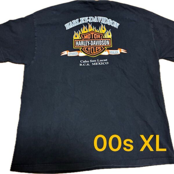 Vintage Harley davidson FLAM E ハーレー フレイム 00s XL