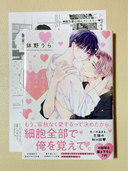 (初版)(特典付)心くんは愛とかいらない 3/鉢野うら