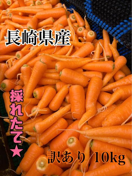 長崎県産 春人参 訳あり10kg(箱込み)