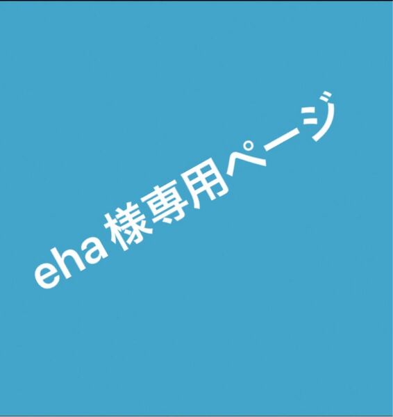 eha様お取り置き2点 天然石携帯ストラップ 4960円お値引き260円