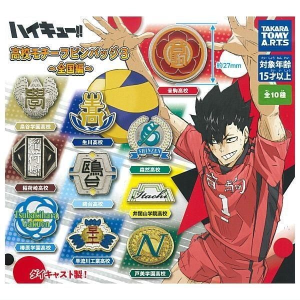 ハイキュー!!の高校モチーフピンバッジ全10種コンプリートセット