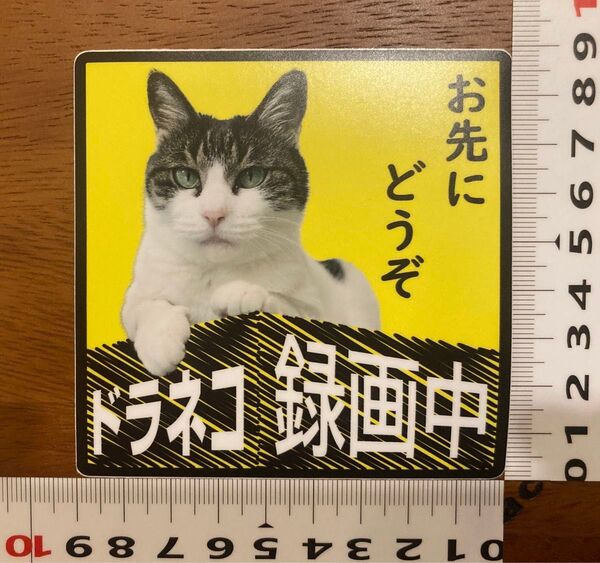 危険運転【煽り運転】録画中ステッカー ドラレコ ステッカーシール 威圧感なし お先にどうぞ UV紫外線OK 高耐候材料使用