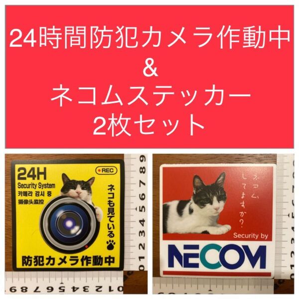 防犯 パロディステッカー 2枚セット 防犯 抑止力 セキュリティ 空き巣狙い 高耐候性材料使用 屋外OK