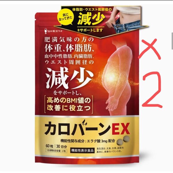 カロバーンEX 30日分 2袋