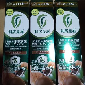利尻炭酸カラーシャンプー ダークブラウン