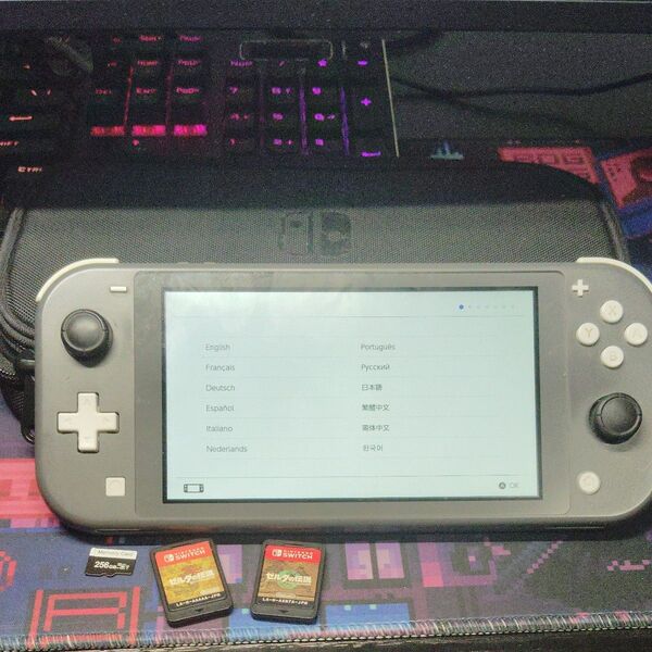 任天堂SwitchライトSDカード256GBゼル伝ブレワイティアキンSwitchケースセット