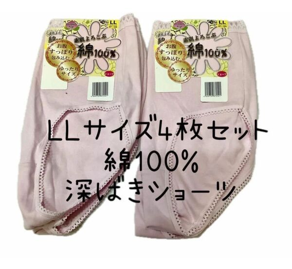 L Lサイズ 4枚セット 綿100% シンプルショーツ 深ばき 快適 定番 年中 スタンダード