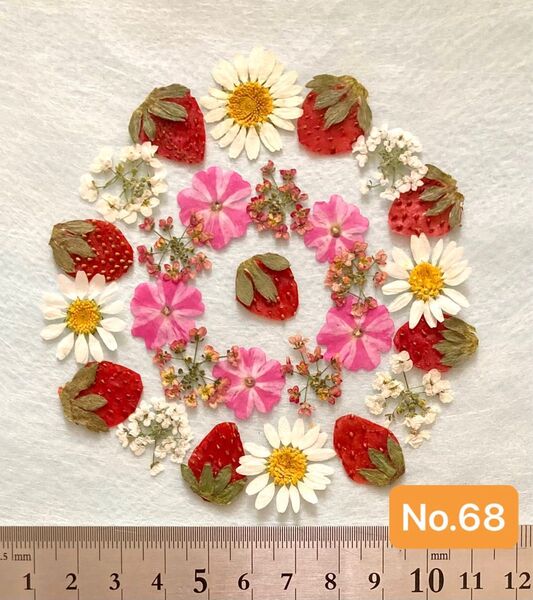 No.68 いちごの押し花素材