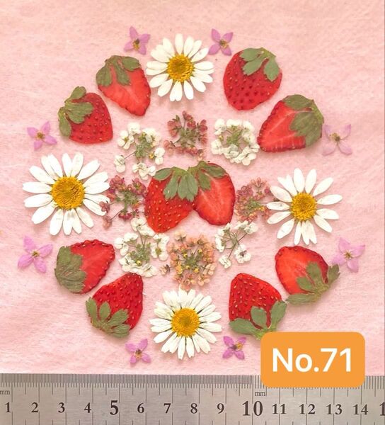 No.71 いちごの押し花素材