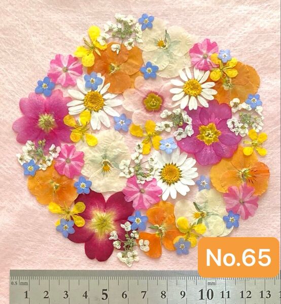 No.65 アソート押し花素材