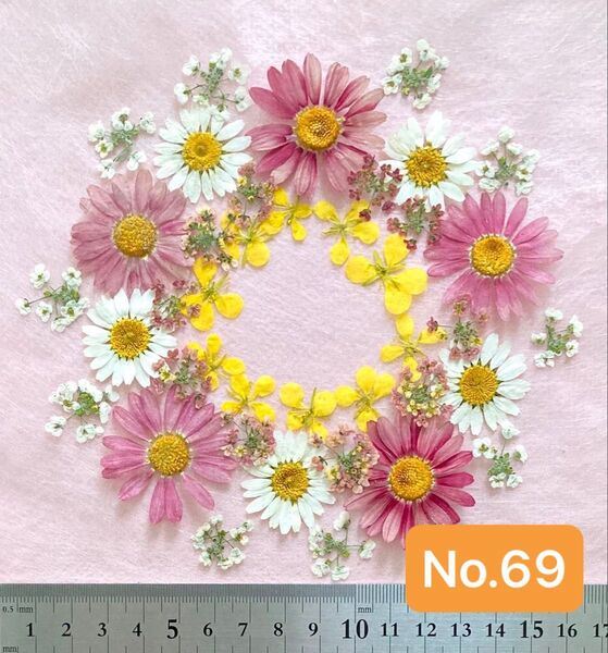 No.69 マーガレットと小花の押し花素材