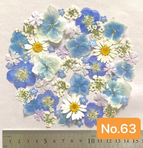 No.63 ブルー系押し花素材