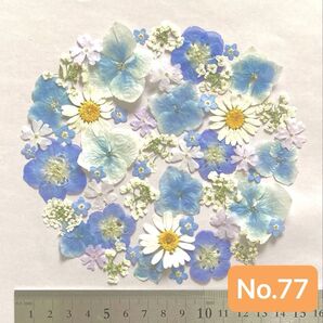 No.77 ブルー系押し花素材