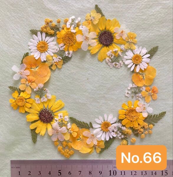 No.66 イエロー系押し花素材