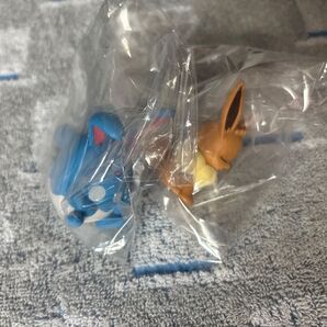 ポケモン 肩ズン イーブイ、マリルリ