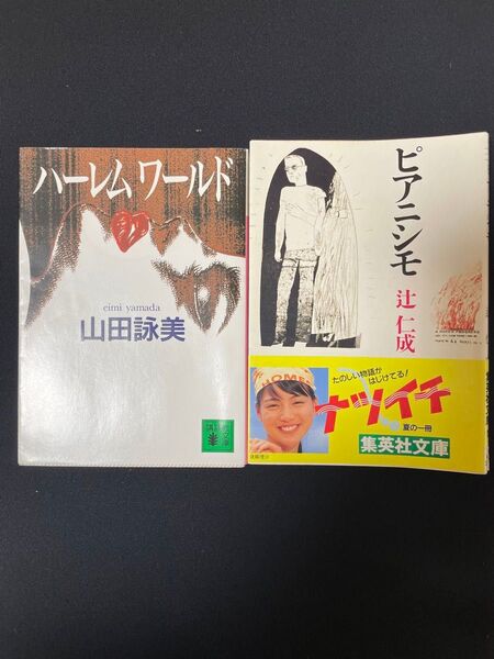 山田詠美「ハーレムワールド」辻仁成「ピアニシモ」2冊セット