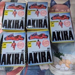 AKIRA K&M フィギュア コレクション スペシャルボックス限定版