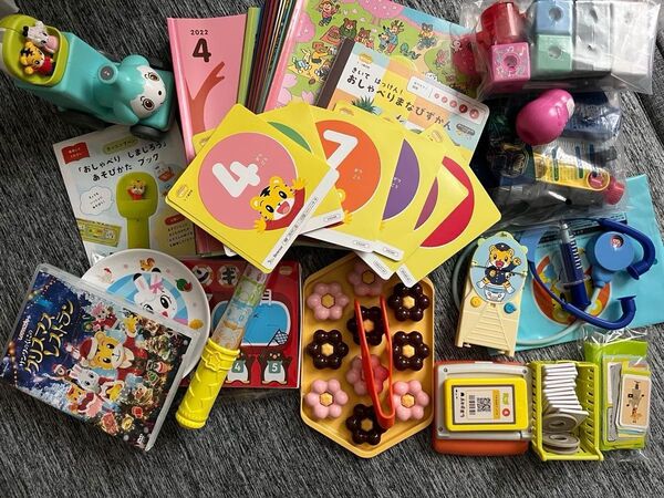 こどもちゃれんじ ぽけっと おしゃべりぶっく ドーナツ DVD ぬいぐるみセット