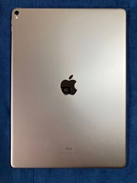 iPad Pro 12.9インチ 第2世代 256GB