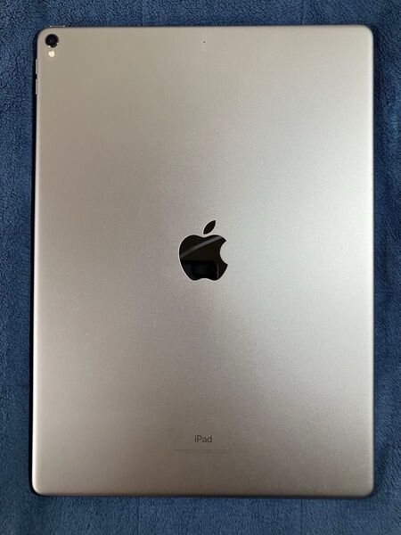 iPad Pro 12.9インチ 第2世代 256GB
