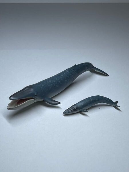 廃盤 アニア AL-11 シロナガスクジラ親子
