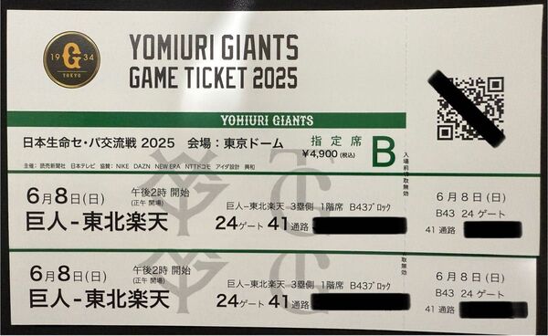 巨人対楽天 6月8日(日)リーグ公式戦 B席