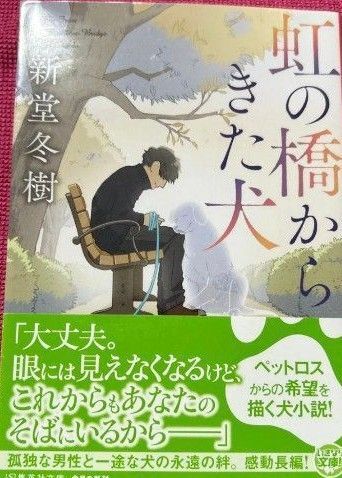 虹の橋からきた犬 (集英社文庫 し71-3) 新堂冬樹/著