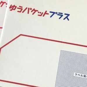 ゆうパケットプラス6枚