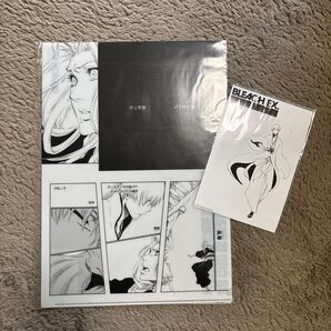 ★BLEACH EX. 原画展 ブロマイド クリアファイル 市丸ギン 松本乱菊