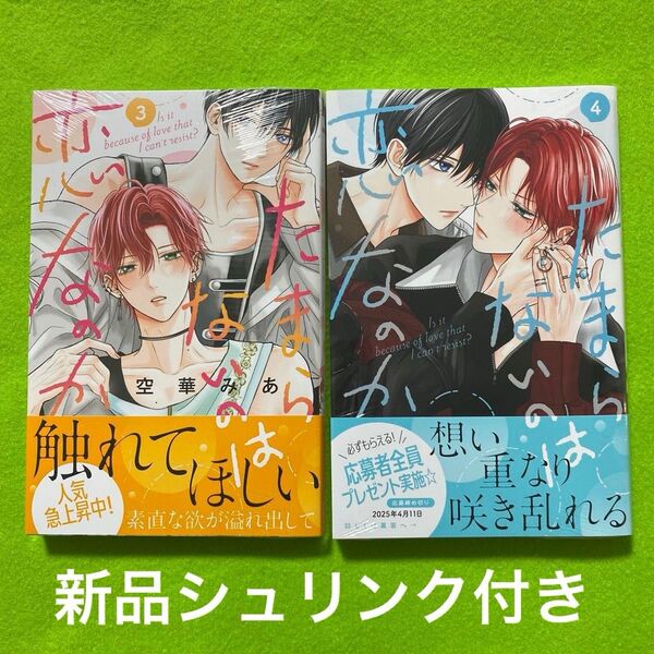 BLコミック 2冊